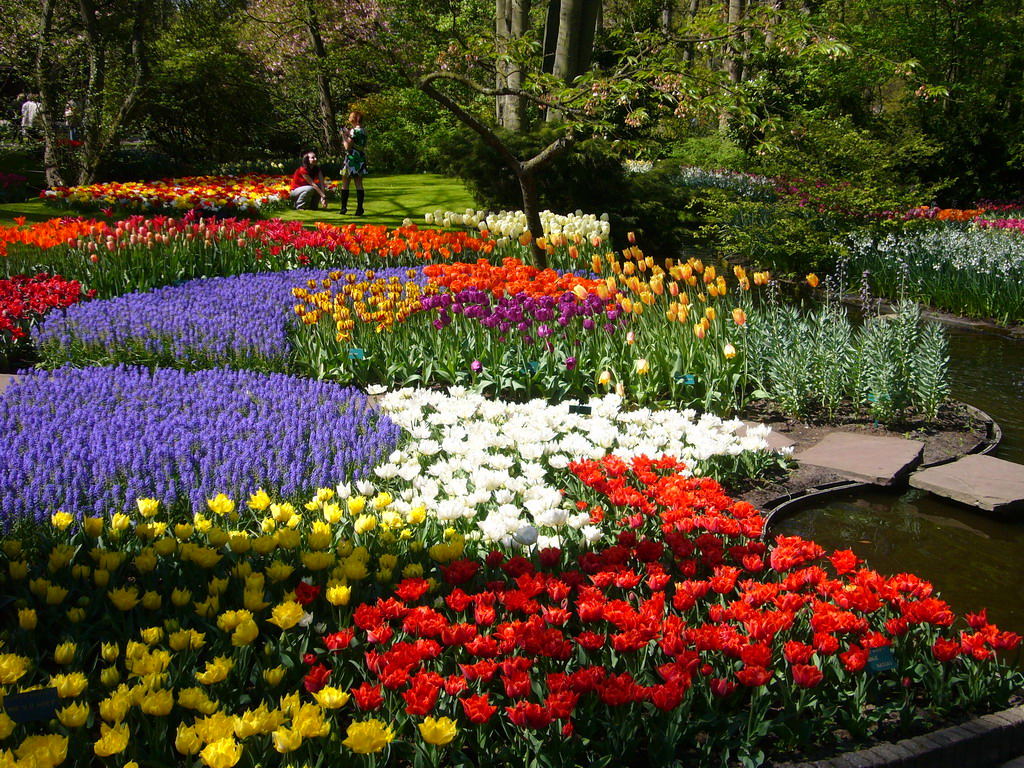 Нидерланды весенний парк Keukenhof