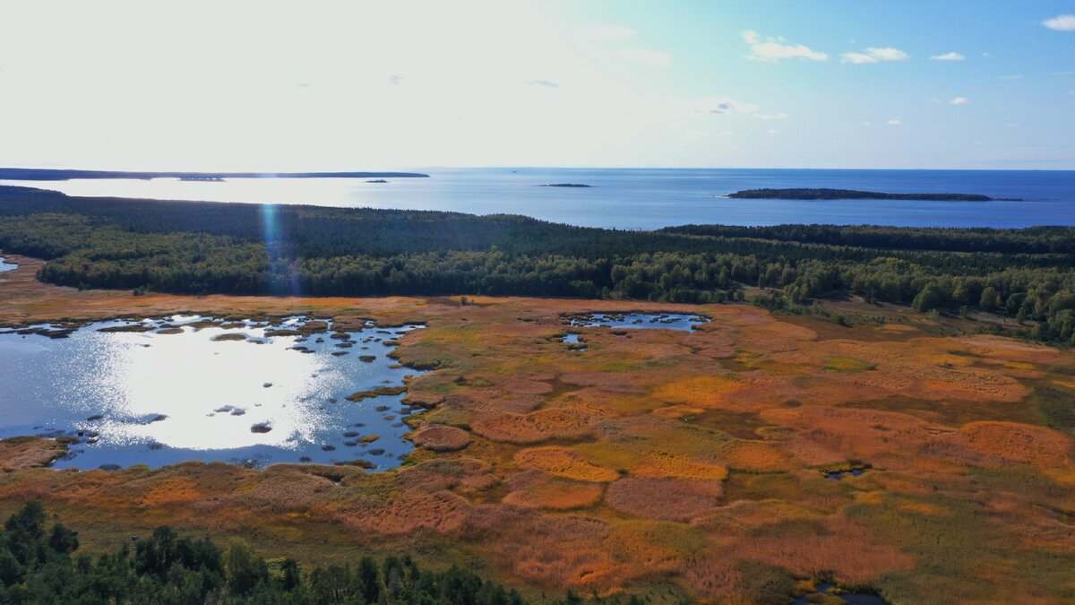 Варяжское море название. Варяжское море. Вепревское озеро. Остров Северный березовый. Бухта укрытая Западный березовый.